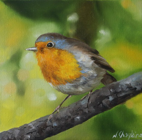 Robin