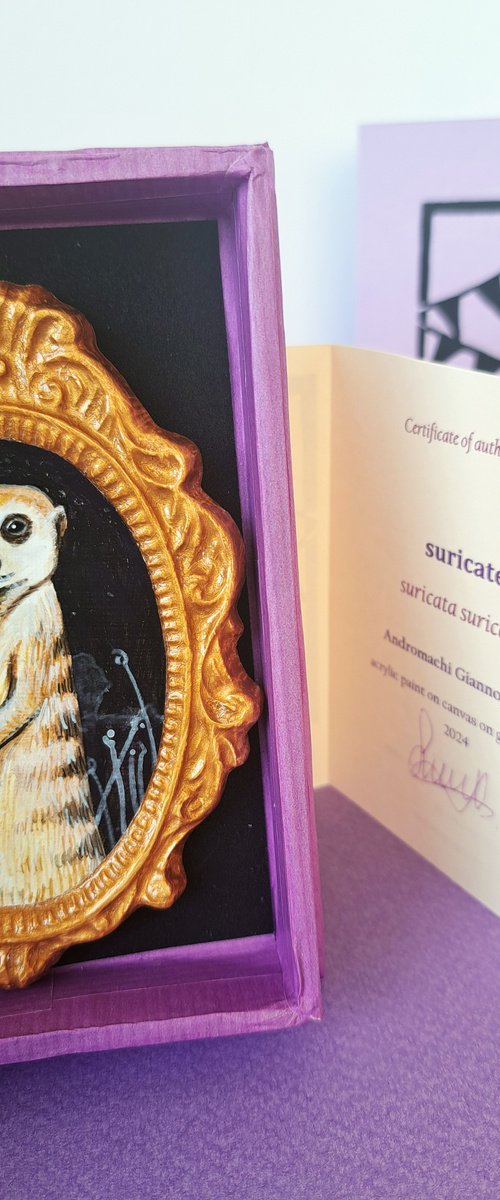 Suricate, part of framed animal miniature series "festum animalium" by Andromachi Giannopoulou