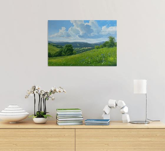 Meadows of early summer