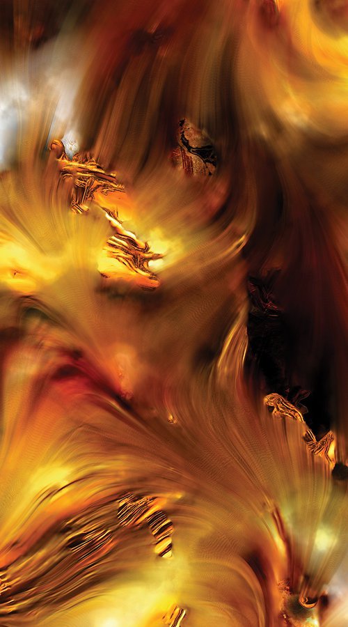 Dorado fandango by Javier Diaz