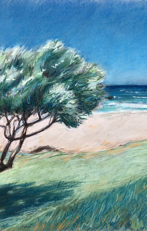 Cape Town Trees on the shore by Daria Startseva