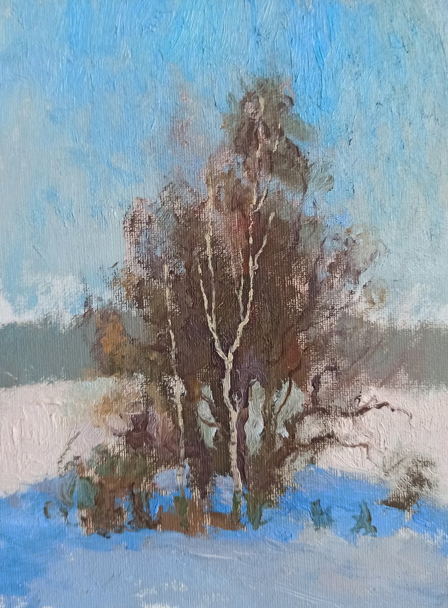 Birch by Olga Goryunova