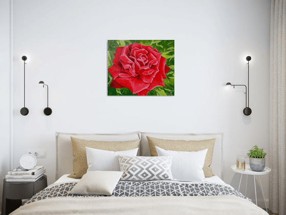 Red rose - the emblem of love, 60*50