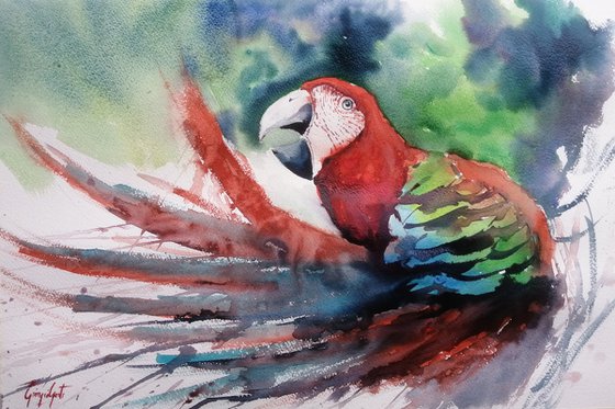 parrot 10