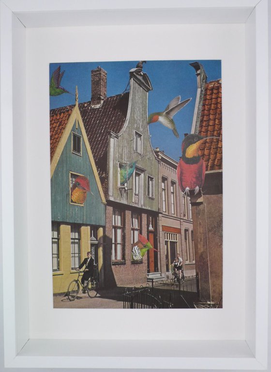 Bird Houses
