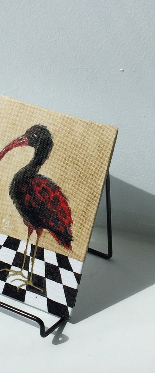 Black Ibis on a chessboard by Olga Ivanova