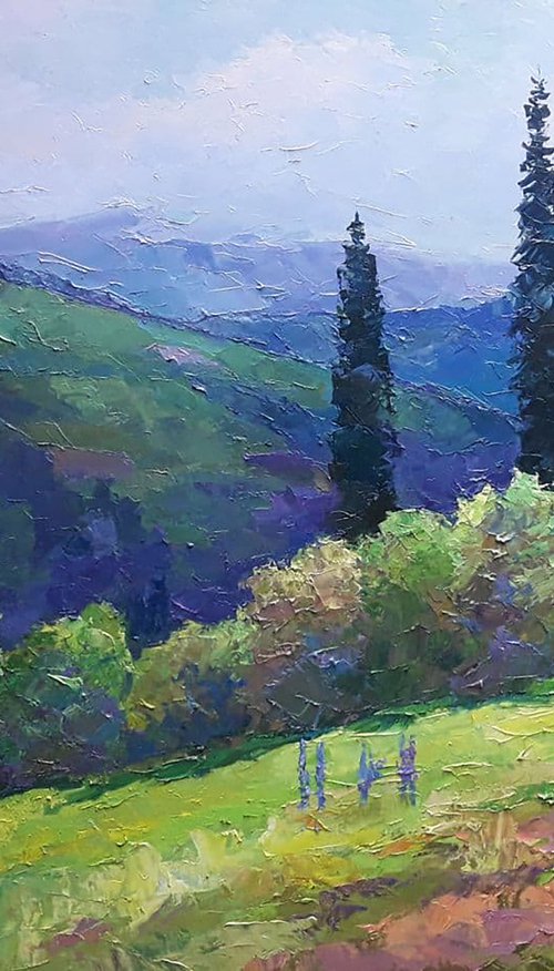 Lupine on the slopes by Boris Serdyuk
