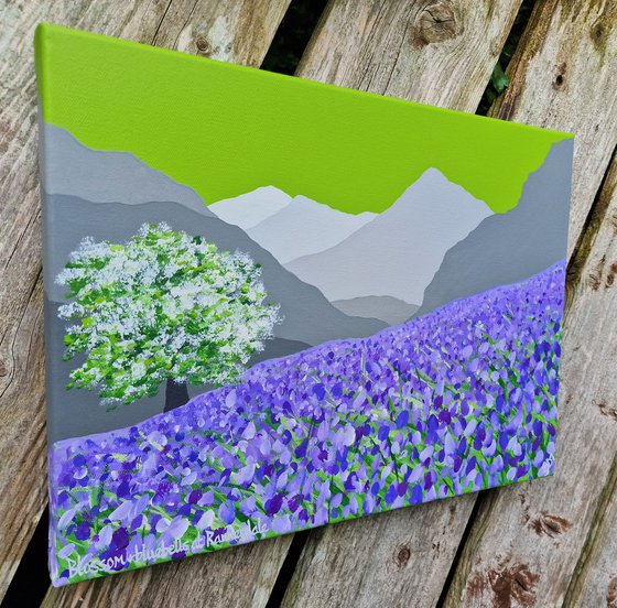 Blossom & bluebells at Rannerdale, The Lake District