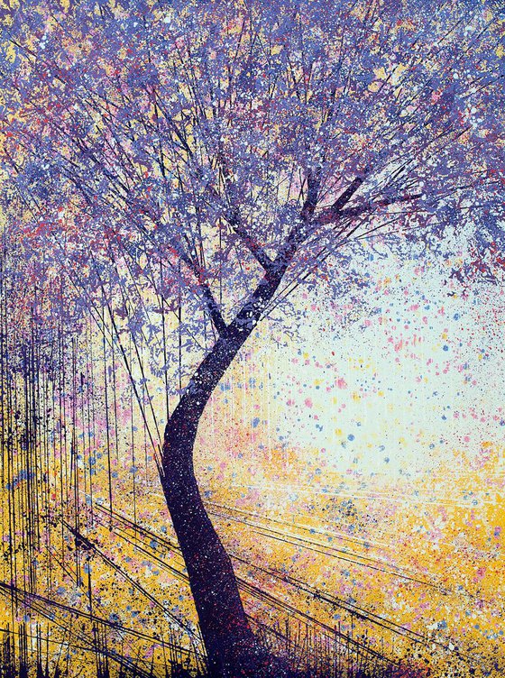 Summer Tree In Evening Light