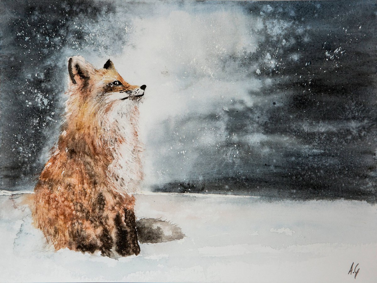 Impressionistic Animal Watercolour By Aneta Gajos, 16 X 12, Fox 2, Original Artwork