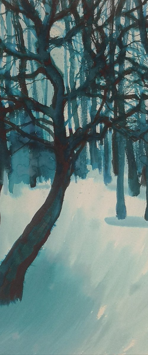 Labyrinths by Elena Sanina