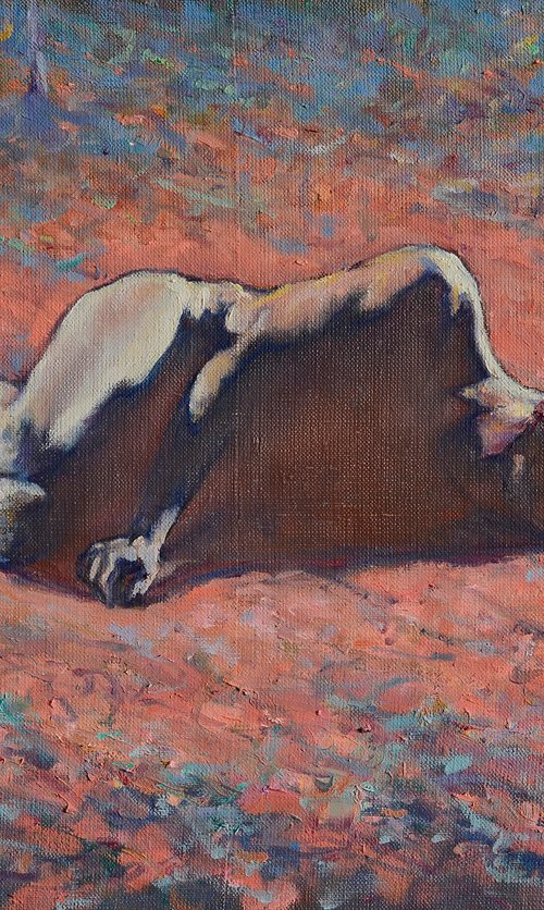 Colour Dream by Oleg Kateryniuk