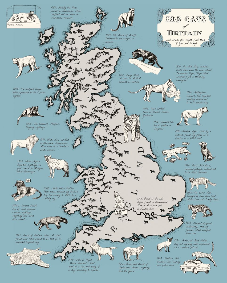 Big Cats of Britain by Anna Walsh