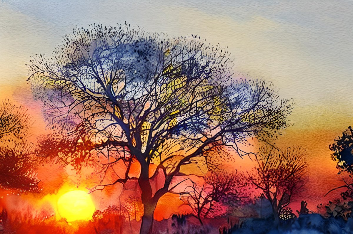 Tree at Sunset by Ruth Searle