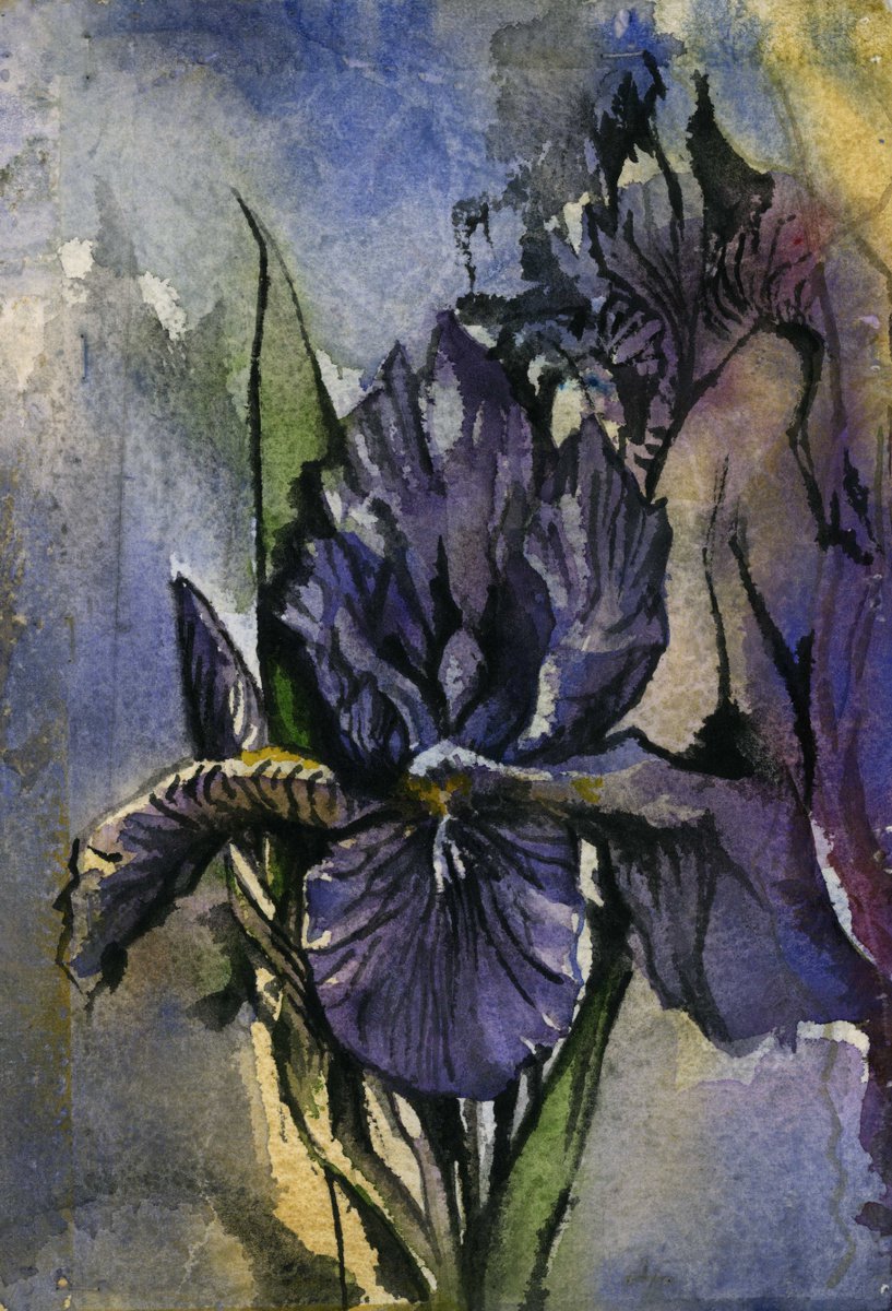 blue iris watercolor on hand-made paper by Alfred Ng