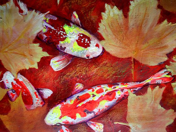 Yellow Leaves and Colored Koi Fish in Red Bottom Pool.