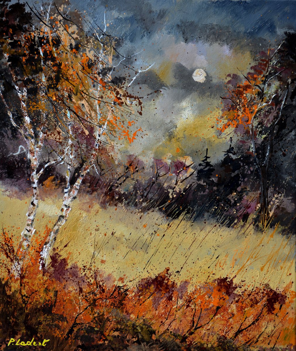 Autumn in the wood- 6723 by Pol Henry Ledent