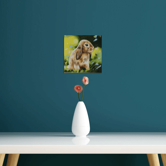 Little Bunny in Spring Light