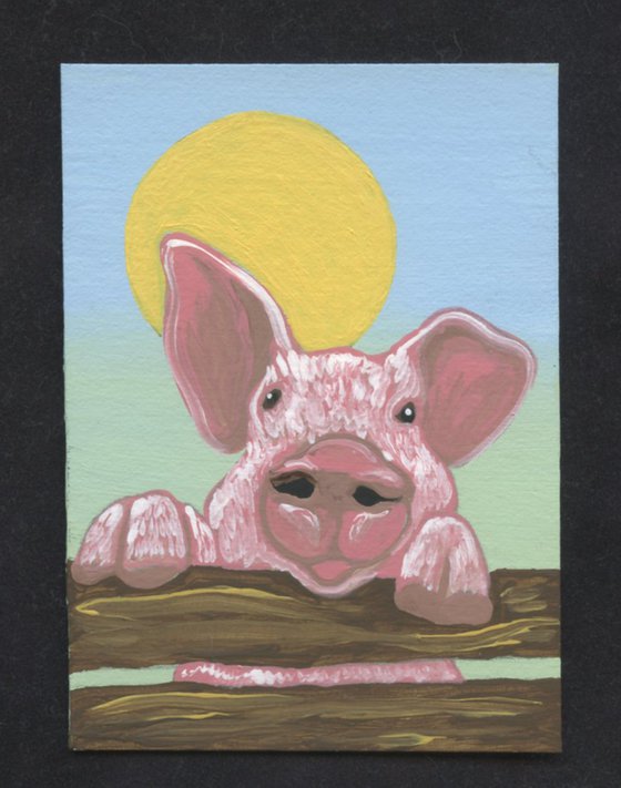 ACEO ATC Original Miniature Painting White Pig Farmyard Art-Carla Smale