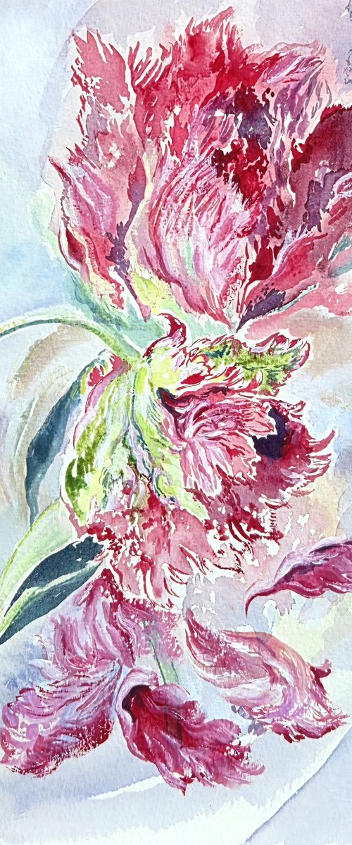 Purple Tulips 2025 by Daria Galinski