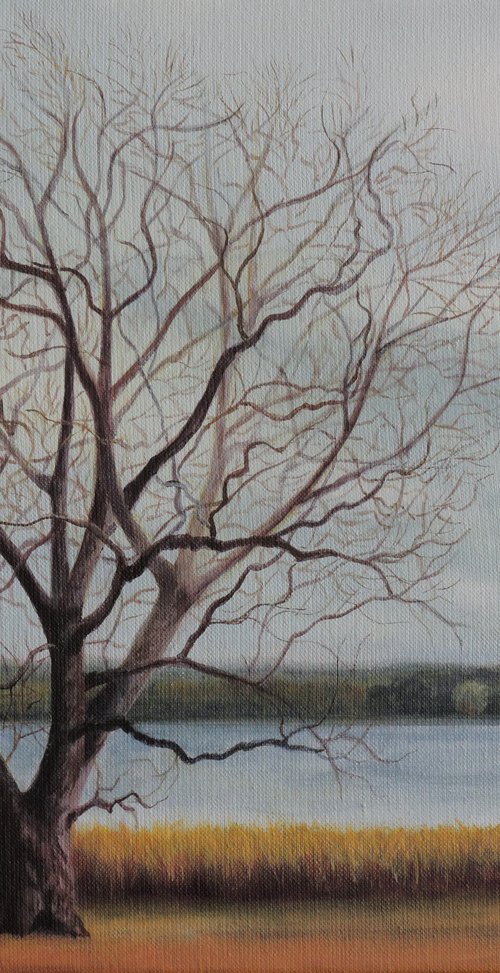 "Laguna de los Padres" by Laura Cabral