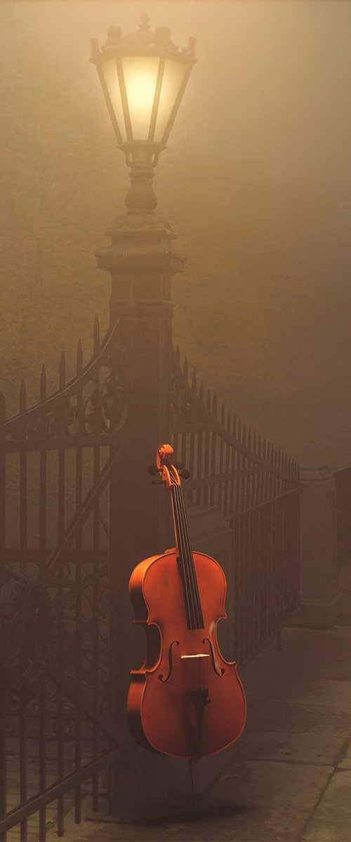 Cello Gates by Tony Fowler