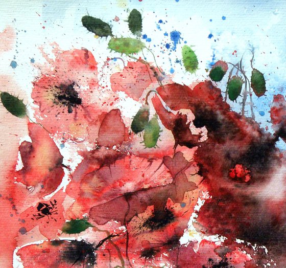 Red poppies