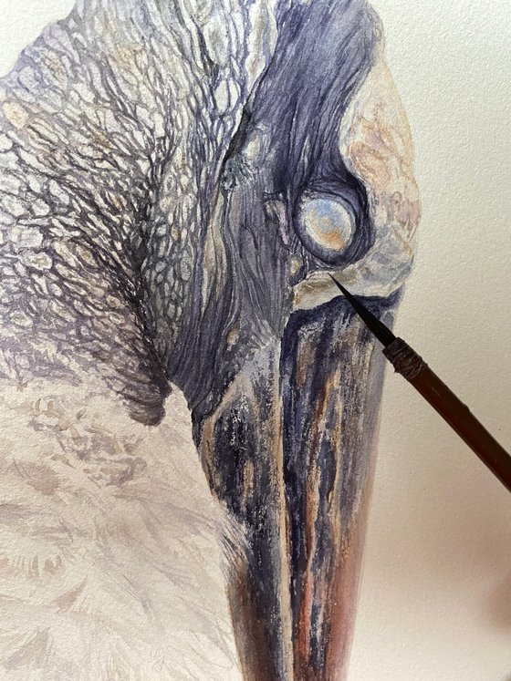 Wood Stork Watercolor Portrait