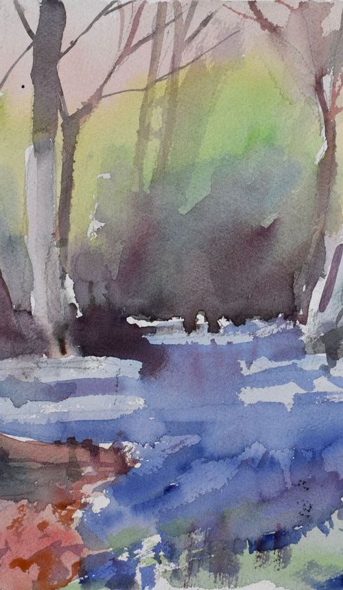 Bluebell woods ,Cornwall new 18a by Goran Žigolić Watercolors