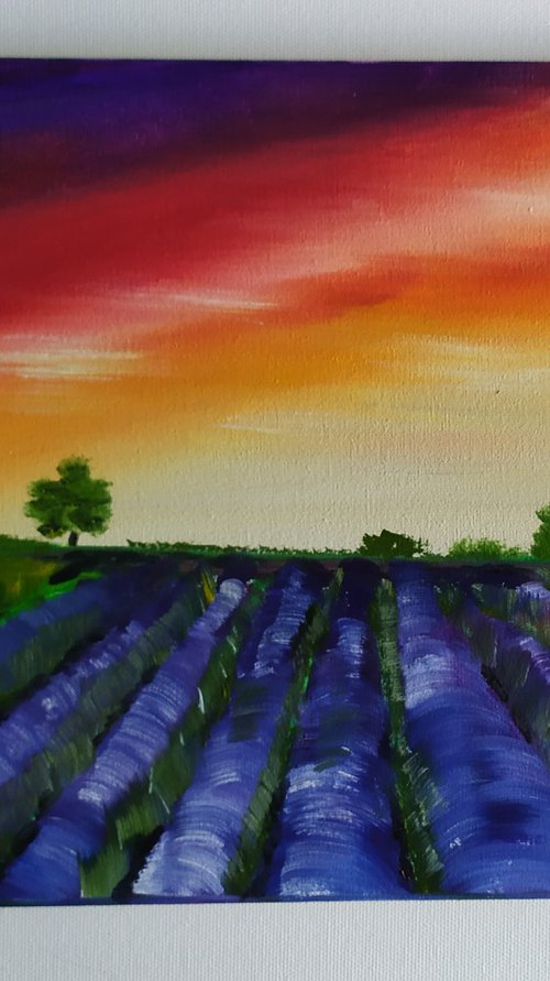 Smell of lavender by Nataliia Plakhotnyk