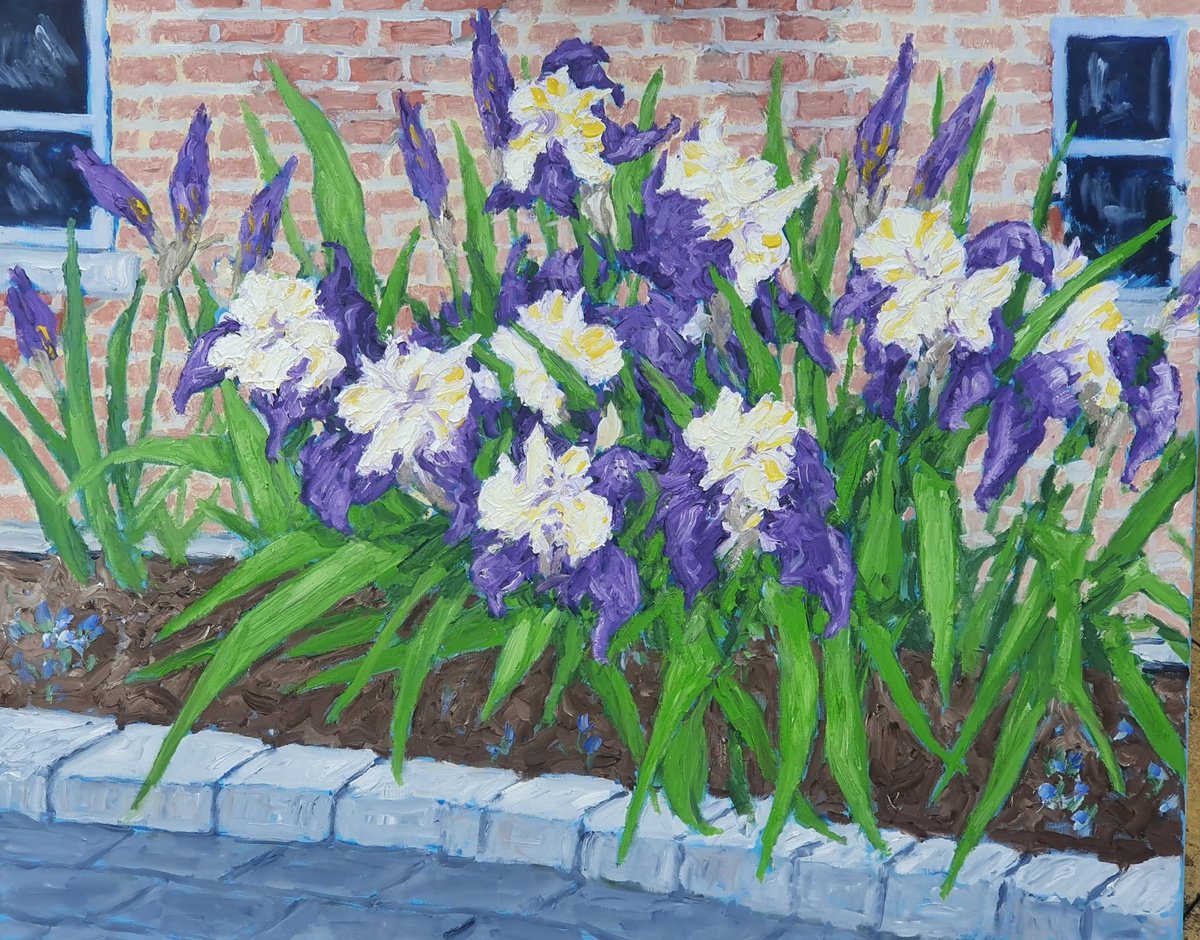 irises 5 by Colin Ross Jack