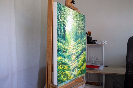 Summer Forest Path