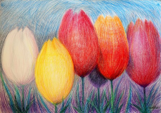 Tulips White 2