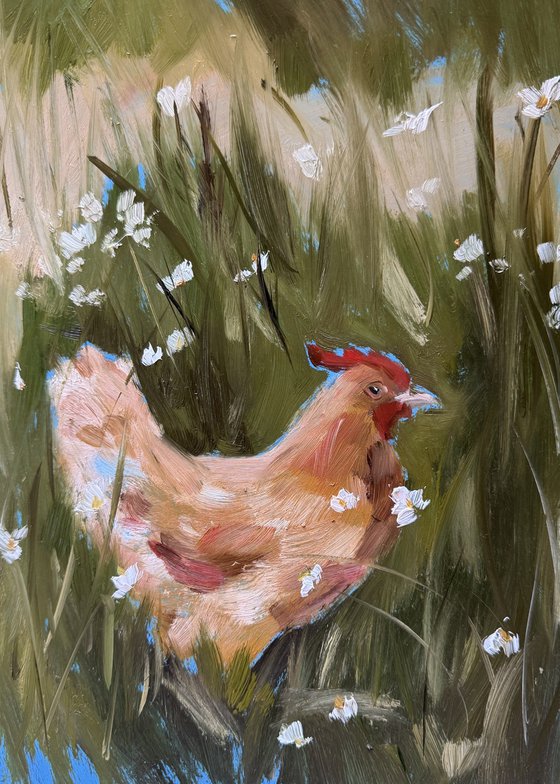 Chicken in the Meadow