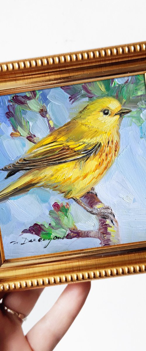 Yellow warbler by Nataly Derevyanko