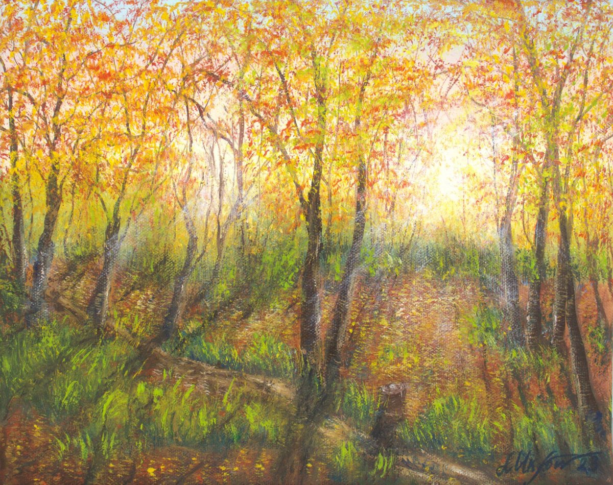 Photorealistic Landscape Oil Painting By Ludmilla Ukrow, 12 X 9", The Autumnal Forest, Original Artwork