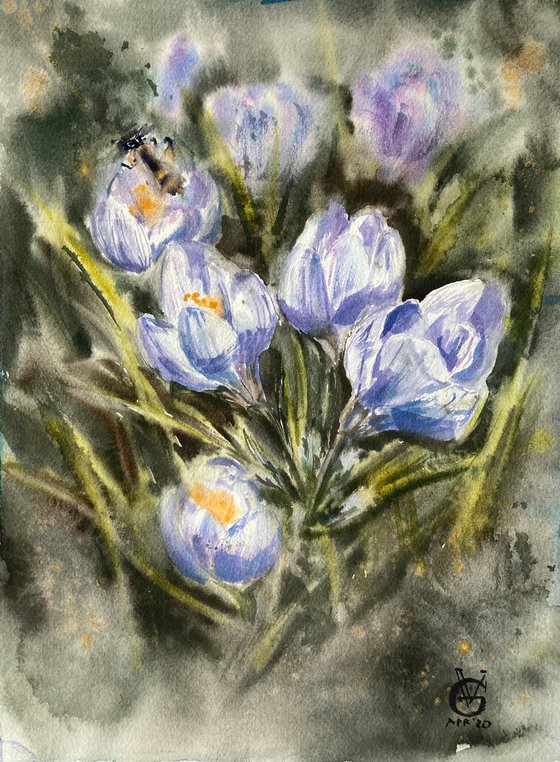 Crocuses