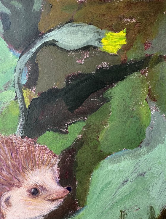 Hedgehog