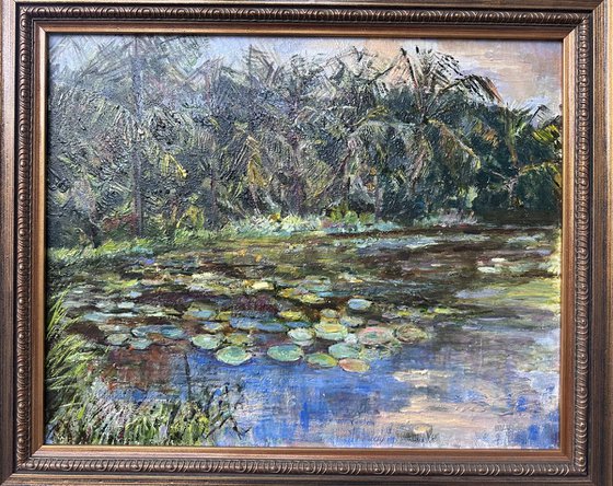 Lotus Pond in Kerala, India