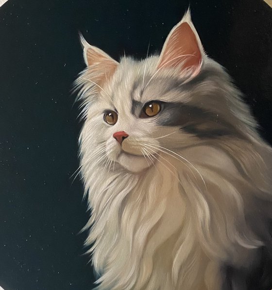 Golden Eyes in Shadow