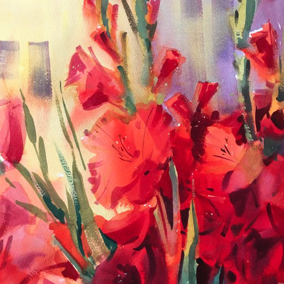 Red gladioli