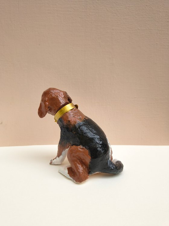 Head Turning Beagle