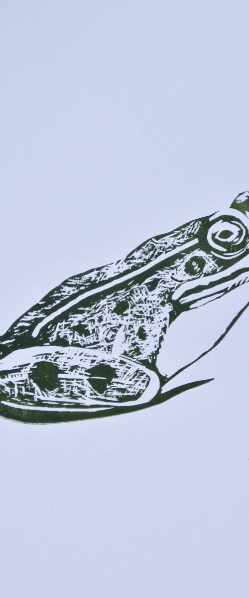 Frog Linoprint,  Print on Paper by Alex Jabore