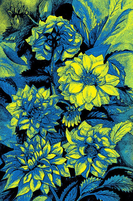 Chrysanthemums in blue and yellow