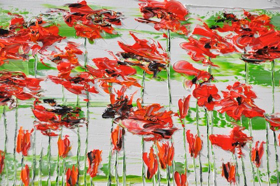 Flora Poppies 5