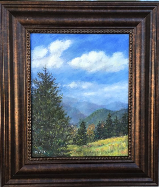 SUNSHINE ON THE MOUNTAIN SOLD