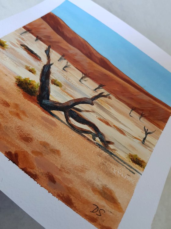 Desert Acacia