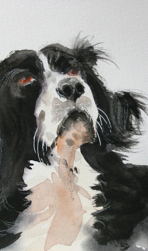 Dog by Salana Art