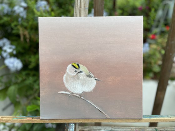 Goldcrest