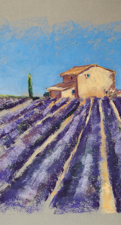 Lavender field in Provence. Medium dry pastel drawing bright colors France by Sasha Romm